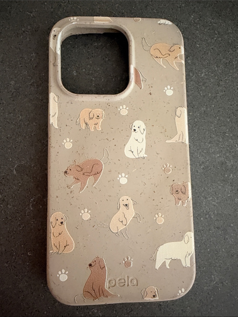 Pela Retriever Energy iPhone 16 Pro Case
